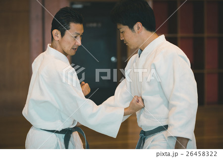 martial artist martial artist 26458322