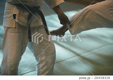 martial artist 26458326