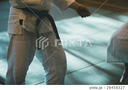 martial artist 26458327