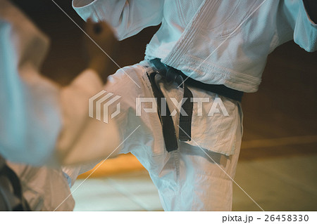 martial artist 26458330