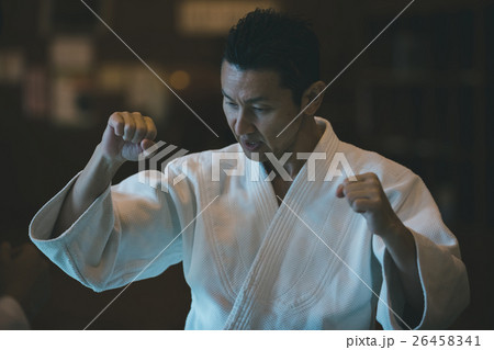 martial artist martial artist 26458341
