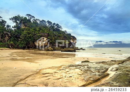 Tropical beach Telok Paku 26459233