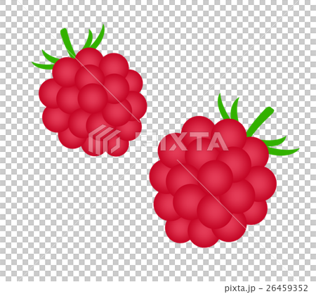 ラズベリー ラズベリー 26459352