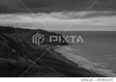 Wild Journey (72) Wild Journey (72) 26460105