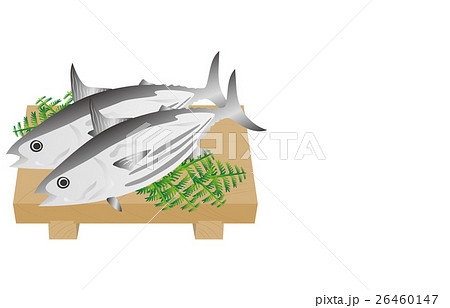 かつお かつお 26460147