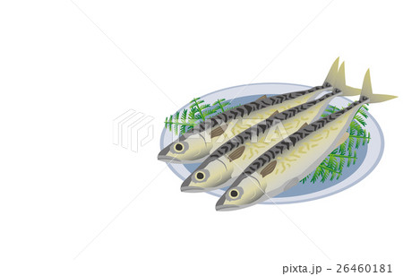 鯖 鯖 26460181