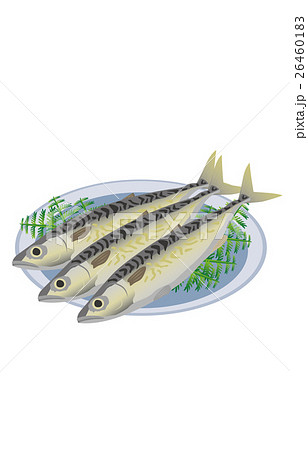 鯖 鯖 26460183