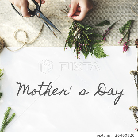 Mothers Day Happy Celebration Concept Mothers Day Happy Celebration Concept 26460920