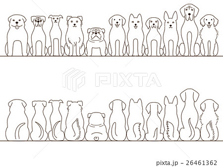 大型犬のボーダーのセット 正面と後ろ姿 ラインのイラスト素材