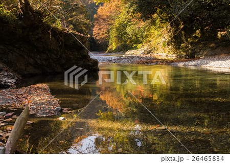 紅葉～秋川渓谷～(東京都-あきる野市) 26465834