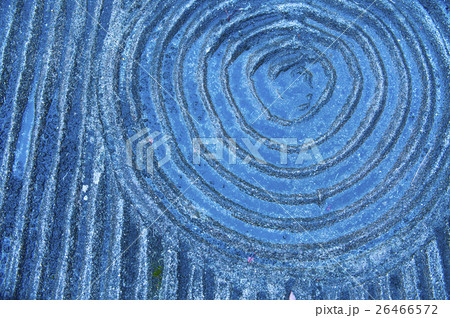 枯山水　波模様に水溜り 26466572