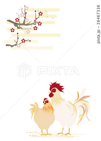 酉年 つがいの鶏と霞と梅のイラスト素材