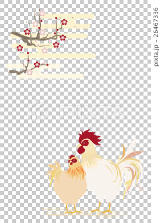 Rooster chicken and haze and plum Rooster chicken and haze and plum 26467336