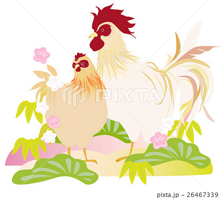 酉年 つがいの鶏と松竹梅のイラスト素材
