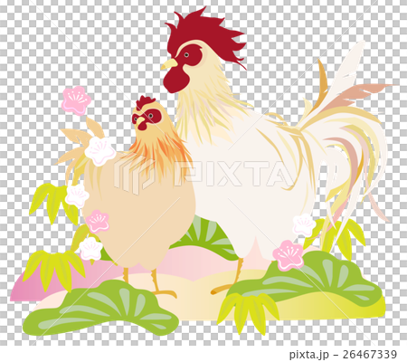 Rooster chicken and shochiku-bai Rooster chicken and shochiku-bai 26467339