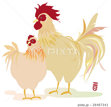 酉年 つがいの鶏のイラスト素材 26467341 Pixta