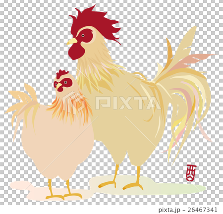 Rooster chicken Rooster chicken 26467341