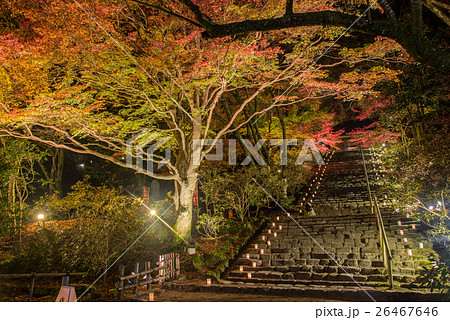 奈良 室生寺の紅葉 鎧坂とライトアップ 奈良 室生寺の紅葉 鎧坂とライトアップ 26467646