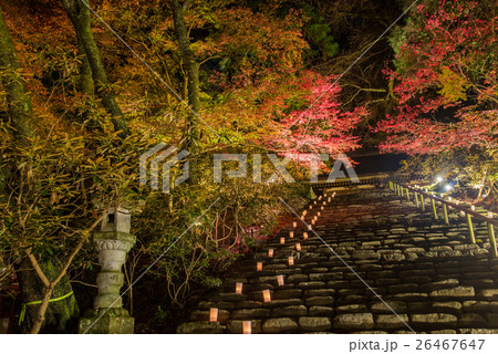 奈良　室生寺の紅葉　鎧坂とライトアップ 26467647
