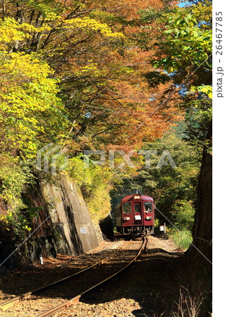 わたらせ渓谷鐵道「紅葉の木々の中を抜けて」 26467785