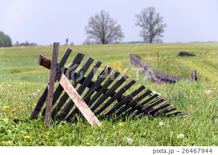 Fence in a field. Latvia 26467944