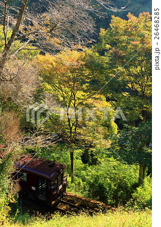 わたらせ渓谷鐵道「山間部の木々と列車」 26468285