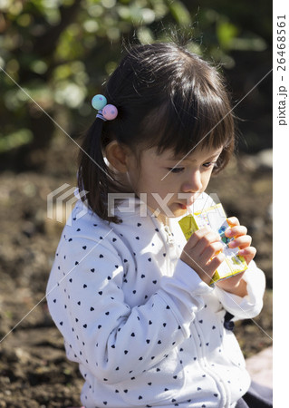 遊園地 遊園地 26468561