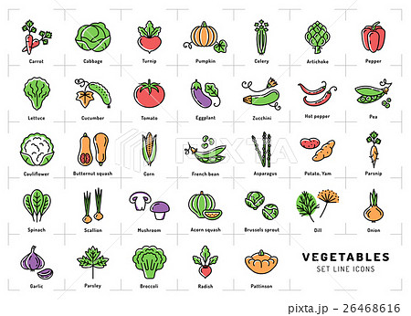 Vegetables icon isolated, Spices logo. Fresh Vegetables icon isolated, Spices logo. Fresh 26468616