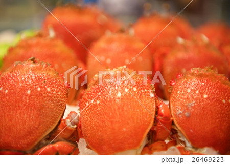 Fresh Seafood crabs Fresh Seafood crabs 26469223