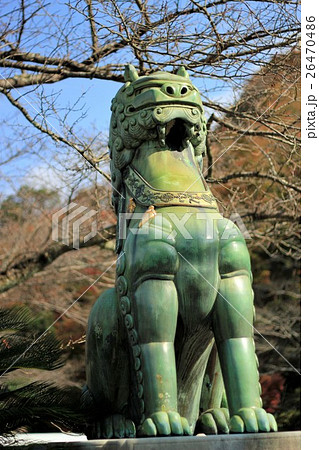 陶山神社の狛犬 26470486