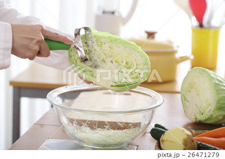 ピーラーでキャベツの千切りを作る女性 26471279