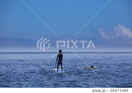 小笠原の海でイルカとサップする男性 小笠原の海でイルカとサップする男性 26471464