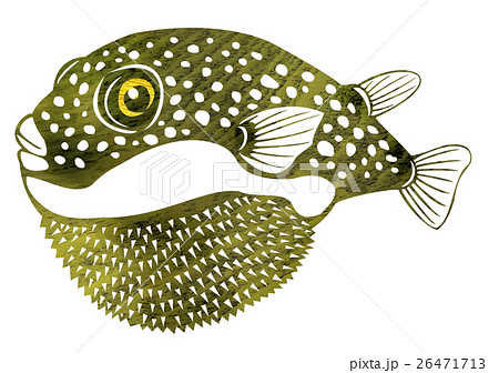 魚イラストのイラスト素材
