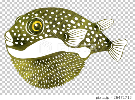 魚イラスト 26471713