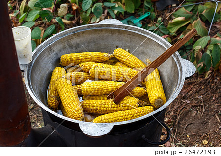 Boiled corn in big cauldron. Street food 26472193