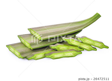 Oroxylum indicum isolated on white 26472511