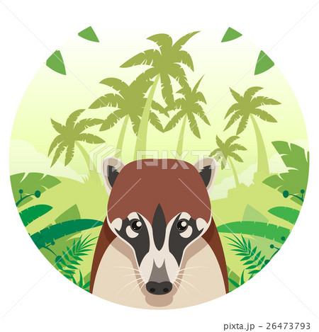 Coati on the Jungle Background Coati on the Jungle Background 26473793