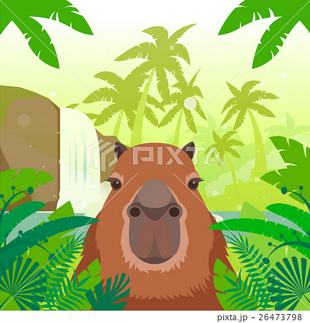 Kapibara on the Jungle Background 26473798