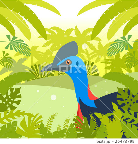 Cassowary on the Jungle Background 26473799