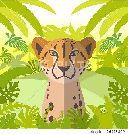 Cheetah on the Jungle Background 26473800