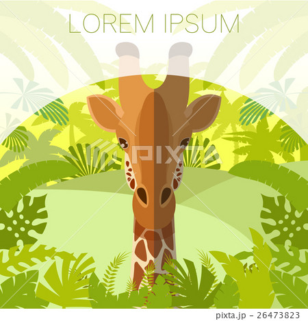 Giraffe on the Jungle Background 26473823