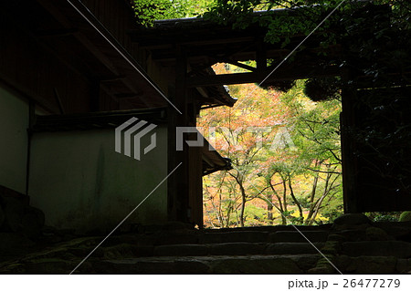 龍野公園の紅葉 26477279