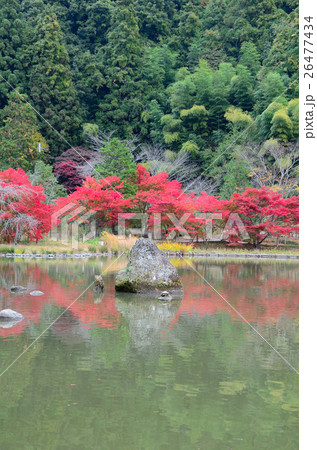 史跡　白水阿彌陀堂境域　浄土式庭園の秋～2016 26477434