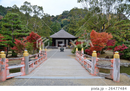 阿弥陀堂の秋~2016 阿弥陀堂の秋~2016 26477484