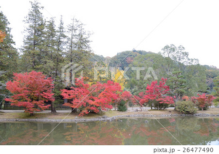 史跡　白水阿彌陀堂境域　浄土式庭園の秋～2016 26477490