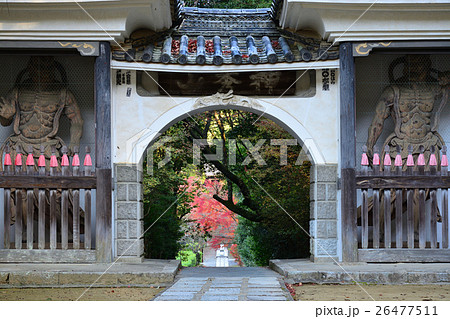 川西市 満願寺 山門から見える紅葉 川西市 満願寺 山門から見える紅葉 26477511