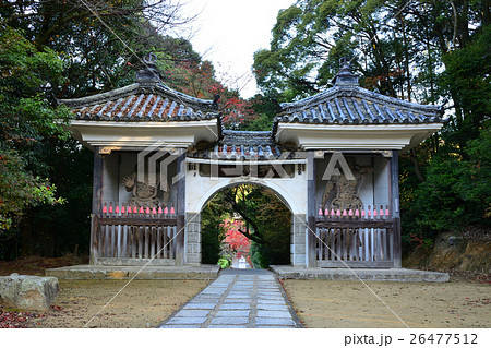 宝塚市　満願寺の山門から見える紅葉 26477512