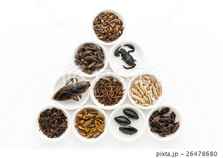 昆虫食：Entomophagy 26478680