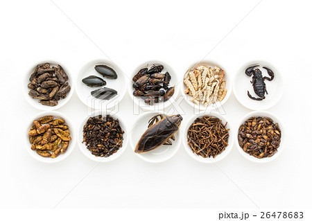 昆虫食:Entomophagy 昆虫食:Entomophagy 26478683
