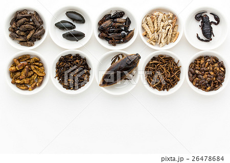 昆虫食：Entomophagy 26478684